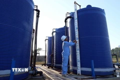 Ảnh minh họa. (Nguồn: TTXVN)