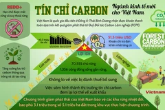 "Mở khóa" thị trường tín chỉ carbon cho Việt Nam