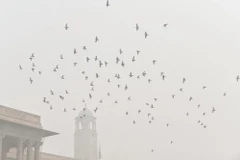 Khói mù ô nhiễm bao phủ dày đặc tại New Delhi, Ấn Độ. (Ảnh: ANI/TTXVN)