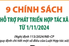 9 chính sách hỗ trợ phát triển hợp tác xã từ 1/11/2024