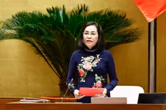 Phó Chủ tịch Quốc hội Nguyễn Thị Thanh điều hành phiên họp. (Ảnh: Doãn Tấn/TTXVN)