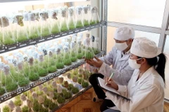 Công nghệ quyết định sự gia tăng giá trị sản phẩm nông nghiệp