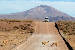 Việc một cậu bé 5 tuổi trải qua 24 giờ đồng hồ giữa sa mạc hoang vắng là một kỳ tích. (Ảnh minh họa: news18.com)