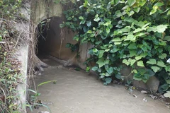 Tình trạng xả thải của các công ty khiến nhiều khu vực bị tắc nghẽn, ô nhiễm. (Ảnh minh họa: Mạnh Khánh/TTXVN)