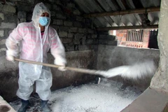 Tổ chức phun độc khử trùng chuồng trại bị nhiễm dịch. (Ảnh: Tuấn Anh-Văn Đức/TTXVN)