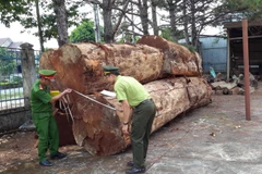 Tang vật của vụ án. (Ảnh: Ngọc Minh/TTXVN)