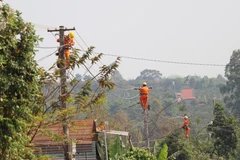 (Ảnh minh họa: Dư Toán/TTXVN)