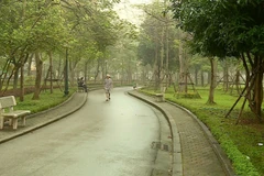 Đường dạo trong Công viên Cầu Giấy. (Ảnh Mạnh Khánh/TTXVN)