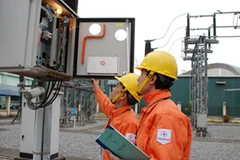 Ảnh minh họa. (Nguồn: EVN)