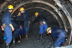 Ảnh minh họa (Nguồn: Internet)