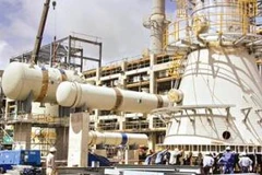 Ảnh minh họa (Nguồn: Internet)