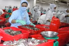 Xuất khẩu thủy sản “tăng tốc” để cán đích