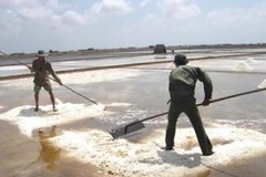 Nghịch lý là muối sản xuất trong nước nhiều nhưng vẫn phải nhập khẩu khiến giá muối giảm mạnh (Ảnh minh họa)