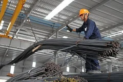 Ảnh minh họa (Nguồn: Internet)