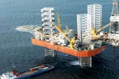 Ảnh minh họa (Nguồn: Internet)