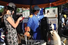 Ảnh minh họa (Nguồn: TTXVN)