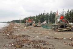 Không chỉ gây ô nhiễm môi trường biển, ảnh hưởng đến đời sống, sinh hoạt của người dân các làng biển mà ngư dân khi đưa bè mảng ra khơi cũng rất vất vả vì phương tiện đánh bắt hải sản đậu trên bờ luôn trong tình trạng bị rác thải bủa vây. (Ảnh: Xuân Tiến/TTXVN)