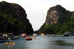 Làng chài Vung Viêng thu hút đông du khách quốc tế 