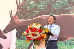 Phó Chủ tịch UBND tỉnh Quảng Trị Hà Sỹ Đồng phát biểu tại buổi lễ. (Ảnh: Thanh Thủy/TTXVN)