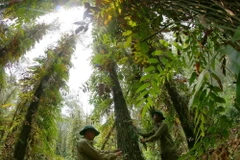 Cán bộ Khu bảo tồn Thiên nhiên Lung Ngọc Hoàng, tỉnh Hậu Giang, tích cực kiểm tra rừng thường xuyên. (Ảnh: Duy Khương/TTXVN)