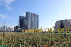 Cánh đồng hoa hướng dương tại khu vực Công viên bờ sông Sài Gòn, thành phố Thủ Đức. (Ảnh: TTXVN phát)