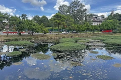 Tảo lam và rác thải tràn ngập hồ Đội Có - một trong 3 hồ lắng quanh thắng cảnh hồ Xuân Hương, thành phố Đà Lạt. (Ảnh: Nguyễn Dũng/TTXVN)