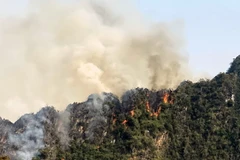 Hiện trường vụ cháy tại bản Ban, xã Chiềng Mai, huyện Mai Sơn. (Ảnh: TTXVN phát)