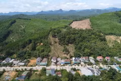 Nguy cơ sạt lở núi cây Sường, thị trấn Quy Đạt, huyện Minh Hóa, tỉnh Quảng Bình, đe dọa hàng chục hộ dân dưới chân núi. (Ảnh: TTXVN phát)