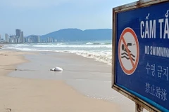 Bãi biển nơi xảy ra tai nạn sóng biển cuốn trôi khiến 2 nam thanh niên tử vong và 1 nam thanh niên mất tích. (Ảnh: Văn Dũng/TTXVN)
