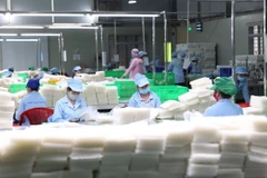 Công nhân phân loại bánh tráng của Công ty TNHH Tân Nhiên thường xuyên tăng ca. (Ảnh: Thanh Tân/TTXVN)