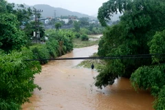 (Ảnh minh họa: Quốc Khánh/TTXVN)