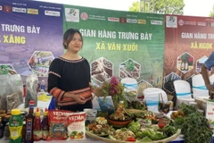 Các đội trình bày món ăn được chế biến từ sâm dây tại Hội thi ẩm thực quốc tế tổ chức ở làng Tu Thó, xã Tê Xăng, huyện Tu Mơ Rông, tỉnh Kon Tum. (Ảnh: Khoa Chương/TTXVN)