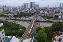 (Ảnh minh họa: TTXVN)