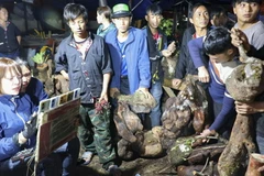 Livestream bán hàng tại chợ đêm Tủa Chùa. (Ảnh: Xuân Tư/TTXVN)