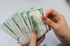 Tỷ giá giữa đồng VND và đồng USD giảm. (Ảnh: Vietnam+)