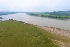 Phú Thọ: Khai thác cát trái phép, một cá nhân bị xử phạt hơn 1,3 tỷ đồng