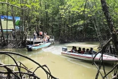 Du khách tham quan, trải nghiệm sản phẩm du lịch xuyên rừng tại Mũi Cà Mau. (Ảnh: Kim Há/TTXVN)