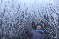 Du khách thích thú trước hiện tượng băng giá ở đỉnh núi Mẫu Sơn. (Ảnh: Anh Tuấn/TTXVN)