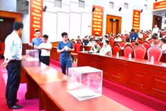 Phiên đấu giá 51 thửa đất tại xã Liên Mạc, huyện Mê Linh, Hà Nội, ngày 28/6. (Ảnh: TTXVN phát)