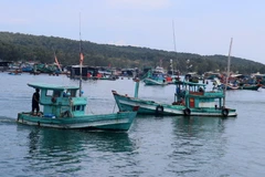 Tàu cá công suất nhỏ neo đậu khu vực Cảng cá An Thới, thành phố Phú Quốc, tỉnh Kiên Giang. (Ảnh: Lê Huy Hải/TTXVN)