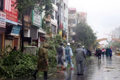 Lực lượng chức năng thành phố Thái Bình thu dọn cây đổ trên đường Lê Lợi, thành phố Thái Bình. (Ảnh: Vũ Quang/TTXVN)