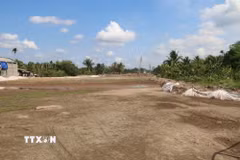 Ảnh minh họa. (Nguồn: TTXVN)