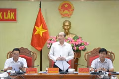 Ông Phạm Ngọc Nghị, Chủ tịch UBND tỉnh Đắk Lắk phát biểu tại cuộc họp. (Ảnh: Tuấn Anh-TTXVN)