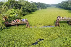 Hiện trường vụ sập cầu tại huyện Barguna, Bangladesh, ngày 22/6. (Ảnh: New Age/ TTXVN)