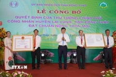 Chủ tịch UBND tỉnh Đồng Tháp Phạm Thiện Nghĩa trao Quyết định và Bằng công nhận huyện Lai Vung đạt chuẩn nông thôn mới. (Ảnh: Nhựt An/TTXVN)