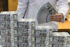 Một người kiểm tra đồng USD tại trụ sở của Ngân hàng Hana ở Seoul vào ngày 7/5 vừa qua. (Nguồn: Yonhap)