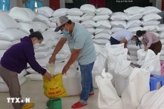 Xuất, cấp gạo cho người dân. (Nguồn: TTXVN)