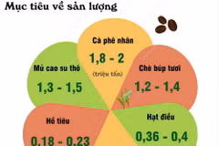 Kim ngạch xuất khẩu 6 loại cây công nghiệp chủ lực đạt 14-16 tỷ USD vào 2030