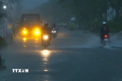 Ảnh minh họa. (Nguồn: TTXVN)