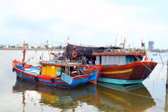 Tàu được cấp phép tham gia hoạt động khai thác thủy sản vùng lộng. (Ảnh: Tá Chuyên/TTXVN)